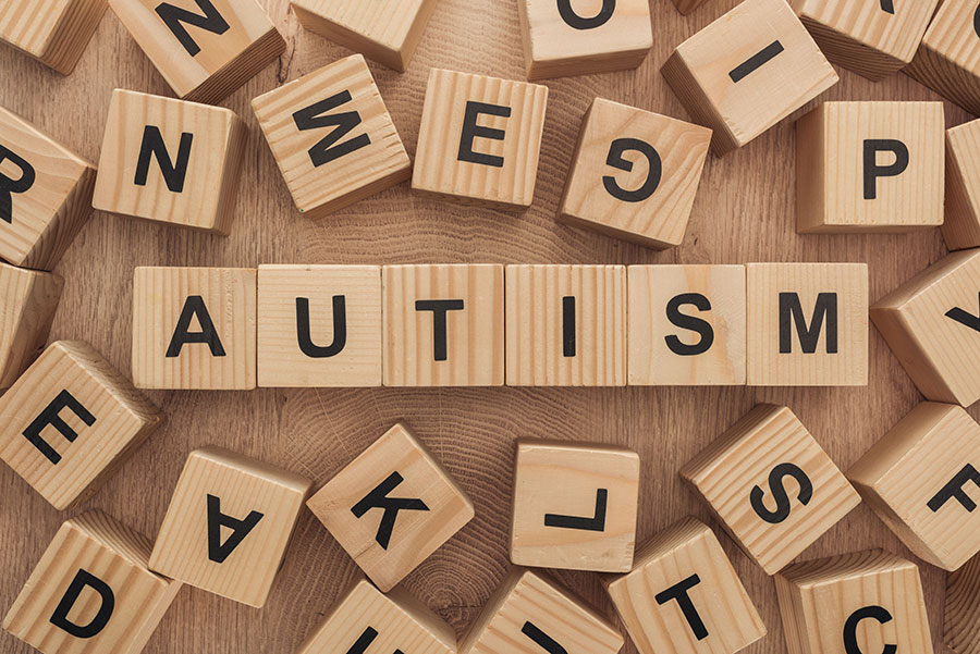 The Autism Directory: Comprehensive Terminologies and Phrases for Your Autism Journey