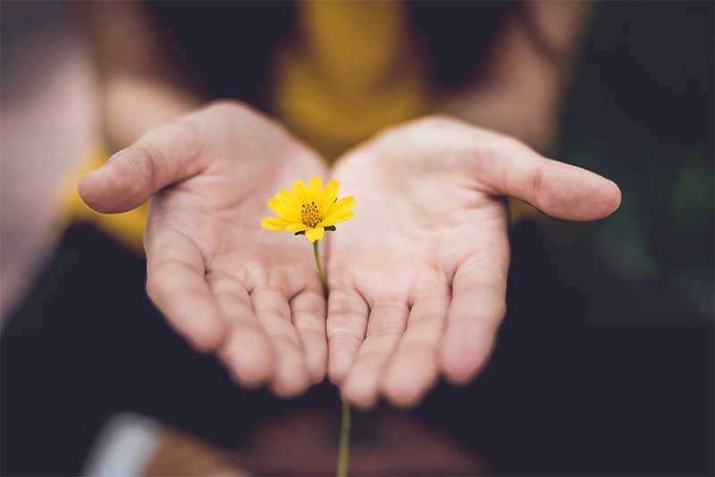 social security disability benefits for kids with autism in south africa